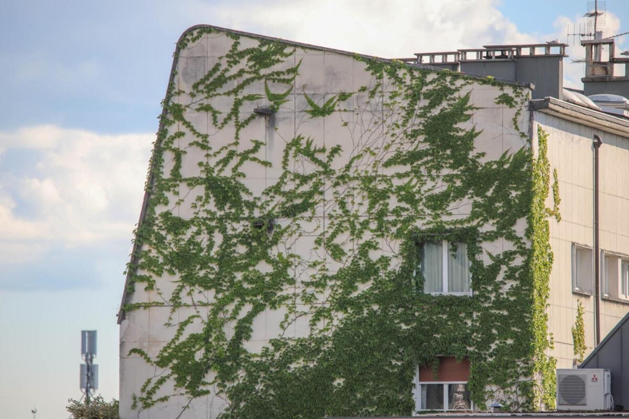 La Pause Annecienne Appartement Familial Annecy Exteriér fotografie